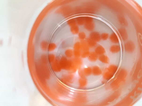A translucent Ooho water capsule illustrating Notpla’s seaweed-based packaging idea